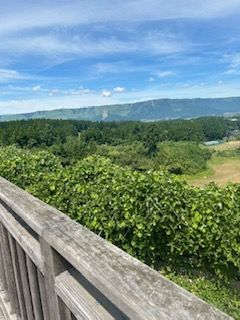 夏の思い出☀️